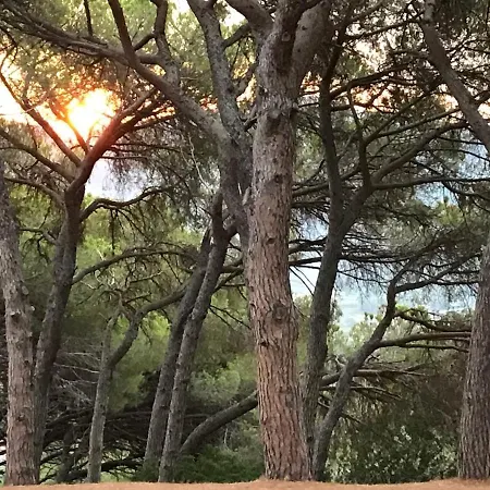 Belvedere San Piero in Campo (Isola d'Elba)