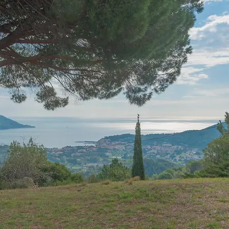 Belvedere